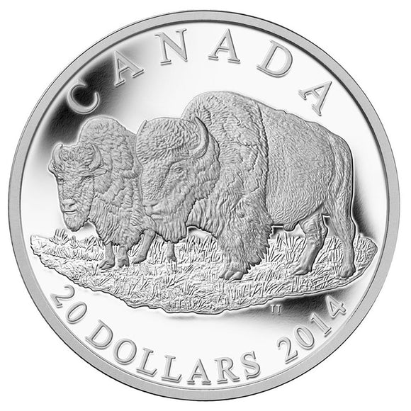 2014 - Canada - $20 - The Bull and his Mate <br> (Writing on COA)