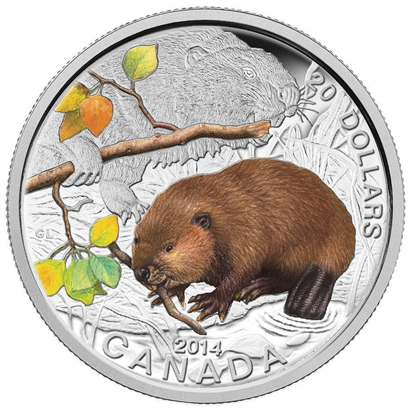 2014 - Canada - $20 - Baby Animals Series, The Beaver <br> (no sleeve)