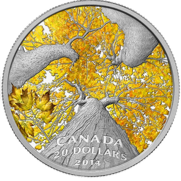 2014 - Canada - $20 - Autumn Allure <br> (no sleeve)