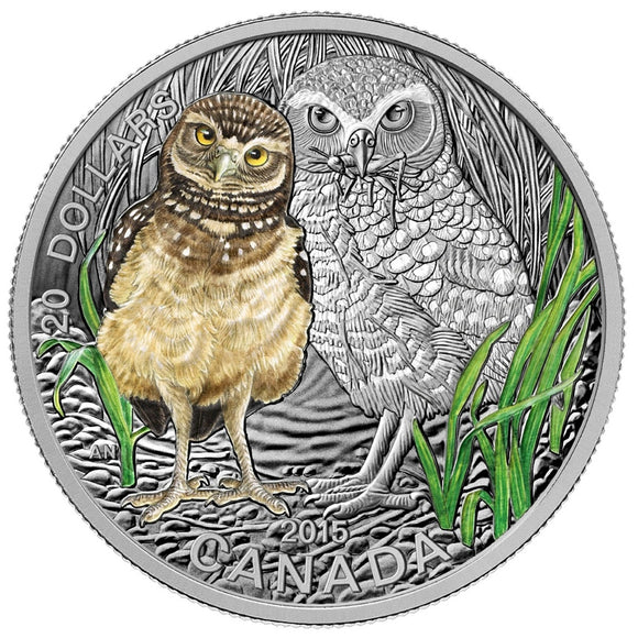 2015 - Canada - $20 - Baby Animals Series, Burrowing Owl <br> (no sleeve)