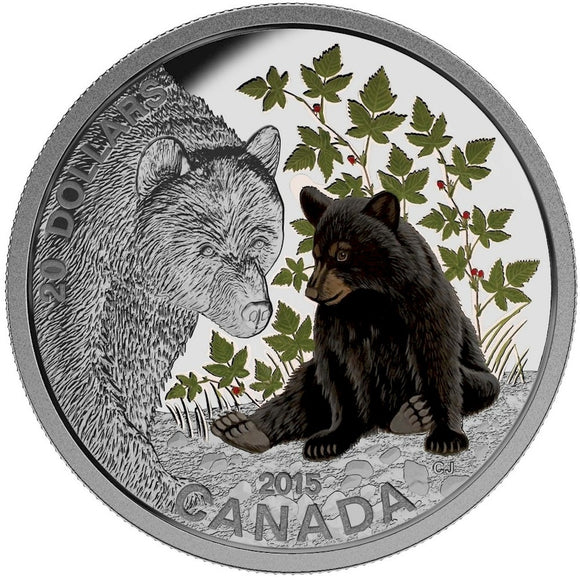 2015 - Canada - $20 - Baby Animals Series, Black Bear <br> (no sleeve)