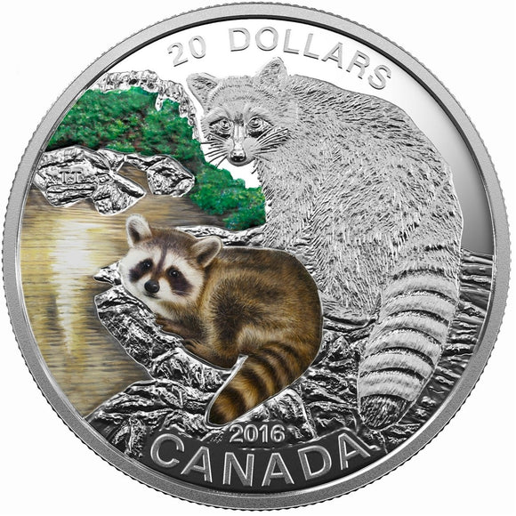 2016 - Canada - $20 - Baby Animals Series, Raccoon <br> (no sleeve)