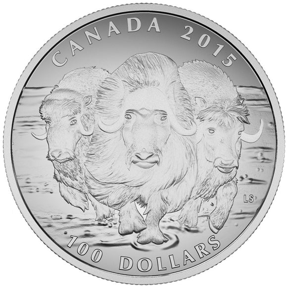 2015 - Canada - $100 - 100 for 100 - Muskox