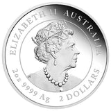 2 oz - 2020 - Australia - Year of the Mouse - Coloured - Fine Silver