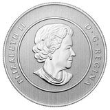 2013 - Canada - $20 - Santa - Specimen