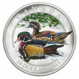 2013 - Canada - $10 - Ducks of Canada: 3 Coin Set