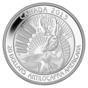 2013 - Canada - $20 - Pronghorn