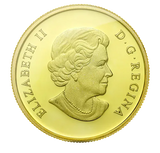 2013 - Canada - 50 Cents - The Early Years