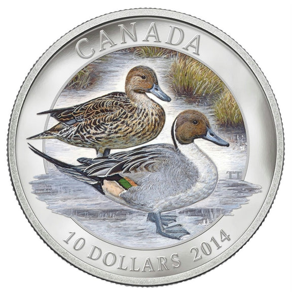 2014 - Canada - $10 - Northern Pintail <br> (slightly toned, no sleeve)