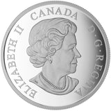 2017 - Canada - $20 - Brilliant Birch Leaves with Drusy Stone