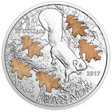 2017 - Canada - $20 - The Nutty Squirrel and the Mighty Oak - Toned