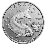 2019 - Canada - Canada's Wildlife Treasures - 5 Coin Set