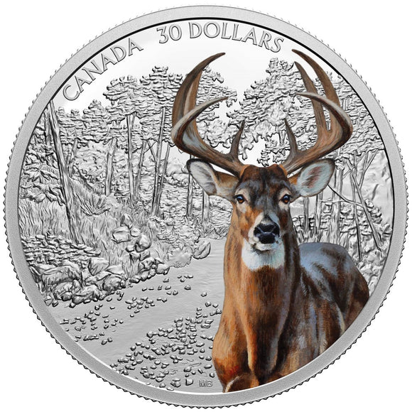 2021 - Canada - $30 - Imposing Icons: White-Tailed Deer <br> (no sleeve, box)
