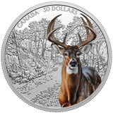 2021 - Canada - $30 - Imposing Icons: White-Tailed Deer <br> (no sleeve, box)