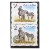 2006 - Canada - Sable Island Horse And Foal - Coin & Stamp Set