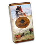 2006 - Canada - Sable Island Horse And Foal - Coin & Stamp Set