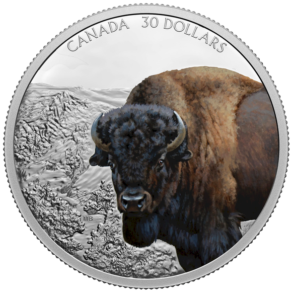 2021 - Canada - $30 - Imposing Icons: Bison <br> (no sleeve, box)