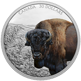 2021 - Canada - $30 - Imposing Icons: Bison <br> (no sleeve, box)