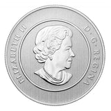 2011 - Canada - $20 - Canoe - Specimen <br> (coin only)