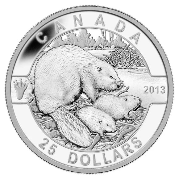 2013 - Canada - $25 - The Beaver
