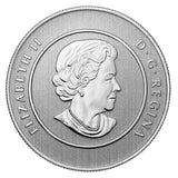 2013 - Canada - $20 - Iceberg - Specimen