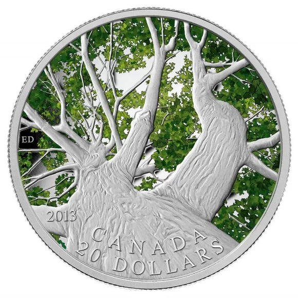2013 - Canada - $20 - Maple Canopy (Spring)