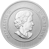 2014 - Canada - $20 - Snowman - Specimen