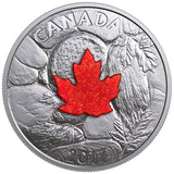 2017 - Canada - $20 - Majestic Maple Leaves, With Drusy Stone <br> (Toned)
