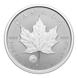 2024 - Canada - $5 - Maple Leaf - First Strikes w/ Polar Bear Privy