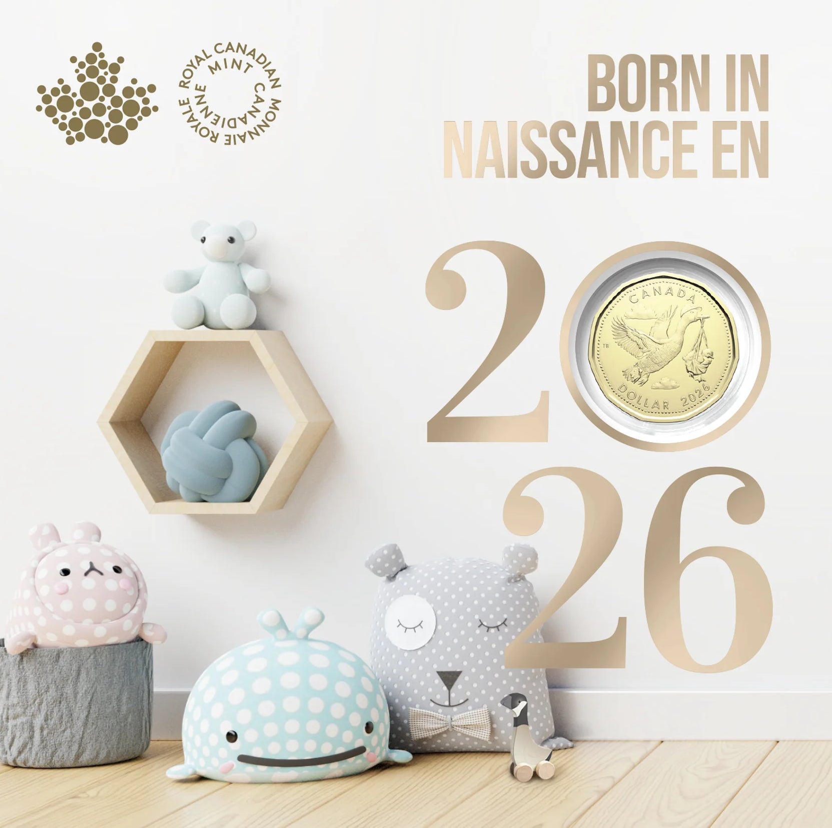 Collectible Coins – MK Coins