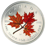 2001 - Canada - $5 - Autumn <br> (no sleeve)