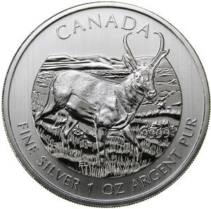 1 oz - 2013 - Canada - Pronghorn Antelope - Fine Silver