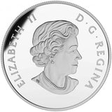2016 - Canada - $20 - Diwali: Festival of Lights