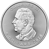 &nbsp;&nbsp;&nbsp;1 oz - <b>2026</b> - &nbsp;Silver Maple Leaf<br>