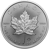 &nbsp;&nbsp;&nbsp;1 oz - <b>2026</b> - &nbsp;Silver Maple Leaf<br>