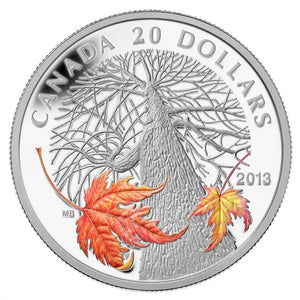 2013 - Canada - $20 - Canadian Maple Canopy (Autumn)