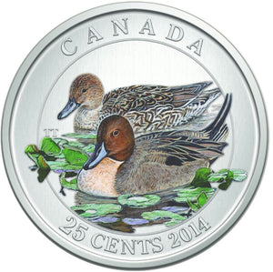2014 - Canada - 25c - Northern Pintail
