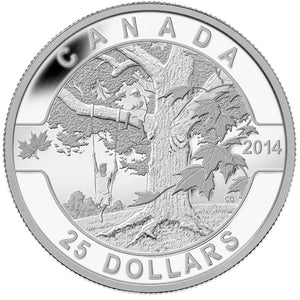 2014 - Canada - $25 - O Canada - Under the Maple Tree