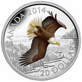 2014 - Canada - $20 - Soaring Bald Eagle - Proof - With colour