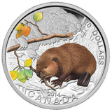 2014 - Canada - $20 - Baby Animals Series, The Beaver