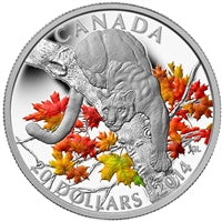 2014 - Canada - $20 - Cougar - Perched On A Maple Tree, Coloured