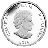 2014 - Canada - $20 - 100th Anniversary of Hockey Canada