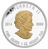 2014 - Canada - $20 - Courage <br>(no box)