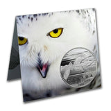 2014 - Canada - $50 - Snowy Owl