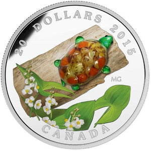 2015 - Canada - $20 - Turtle with Broadleaf Arrowhead Flower