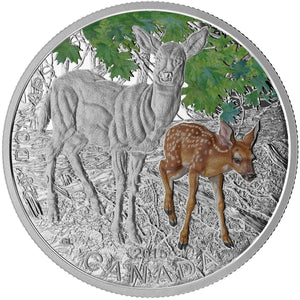 2015 - Canada - $20 - Baby Animals Series, White-Tailed Deer