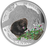 2016 - Canada - $20 - Porcupine