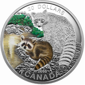 2016 - Canada - $20 - Baby Animals Series - Raccoon