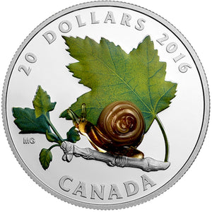 2016 - Canada - $20 - Little Creatures: Snail