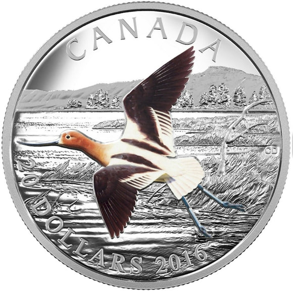 2016 - Canada - $20 - The American Avocet